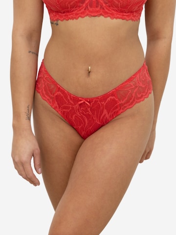 SugarShape Κιλότα 'Cariba' σε ροζ: μπροστά