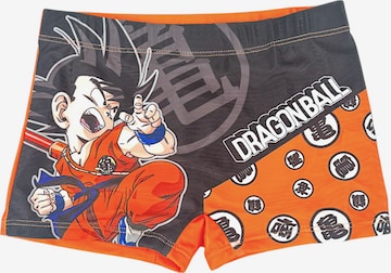 Dragon Ball Badeshorts 'Dragon Ball Badehose Son Goku' in Orange: Vorderseite