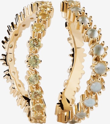 P D PAOLA Ring in Gold: Vorderseite