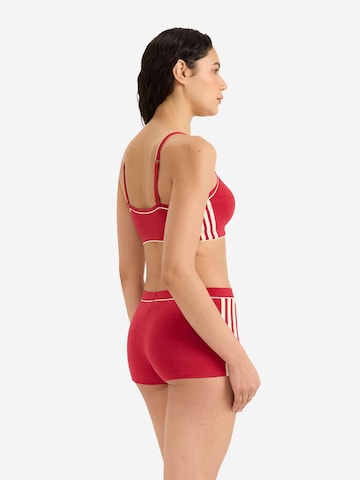 ADIDAS ORIGINALS T-shirt Bra ' Originals Adicolor Comfort Flex Cotton ' in Red