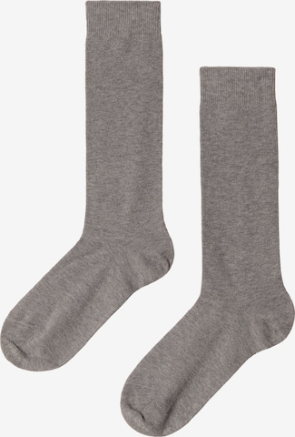 CALZEDONIA Socks in Grey: front