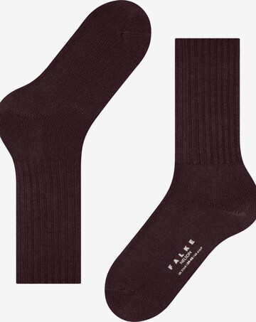FALKE Socks 'Nelson' in Red: front