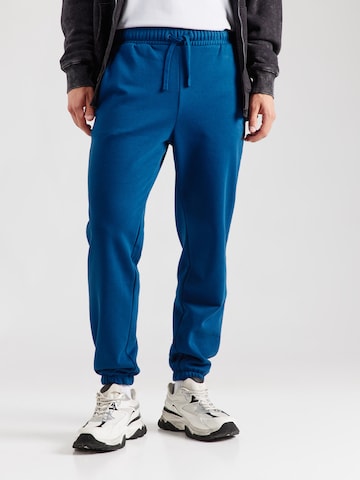 Regular Pantaloni sport de la 4F pe albastru: față