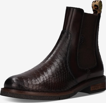 SALAMANDER Chelsea Boots in Braun: Vorderseite
