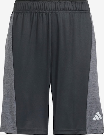 ADIDAS SPORTSWEAR - Regular Calças de desporto em preto: frente