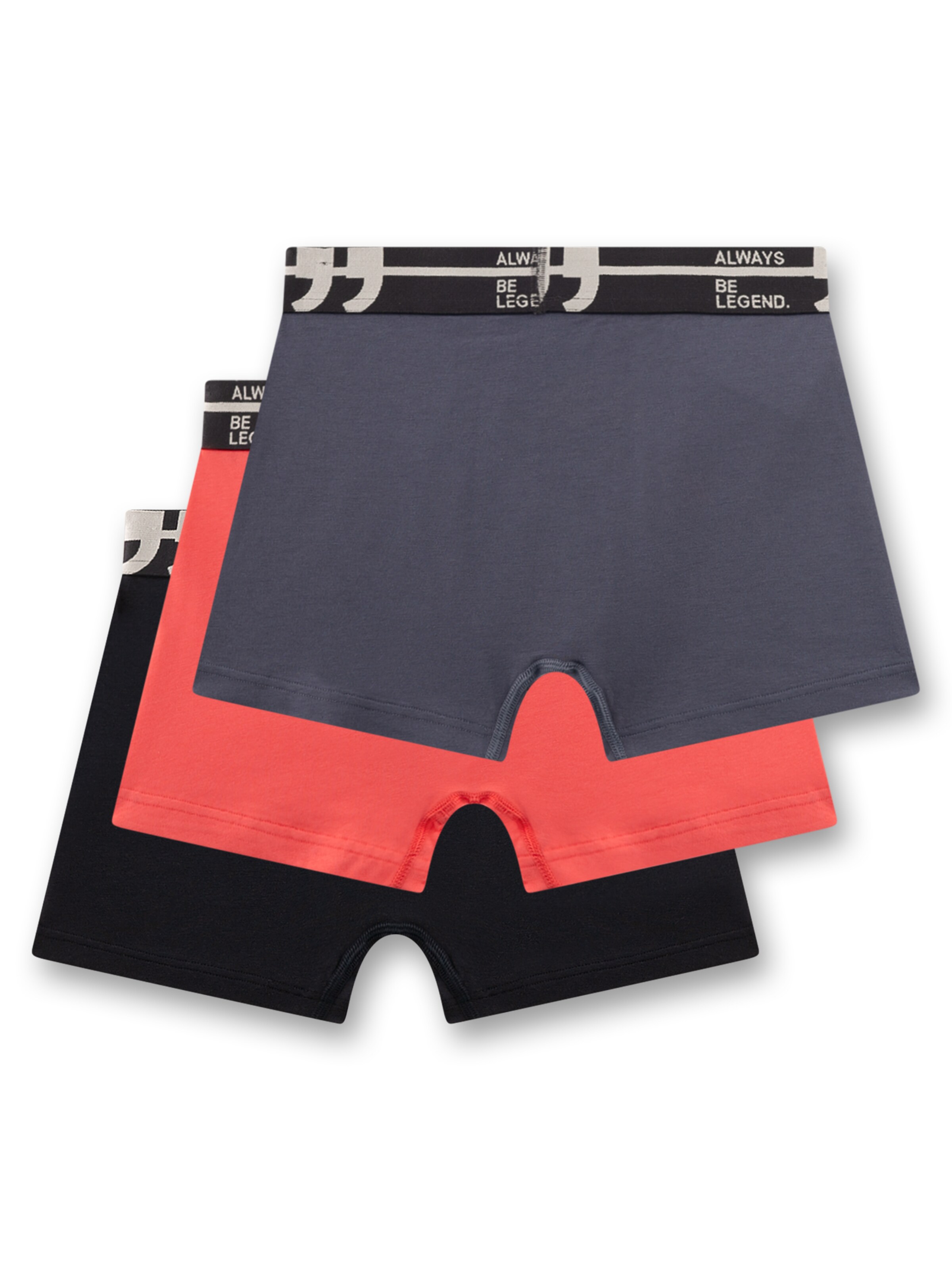 Sanetta Unterhose in Grau