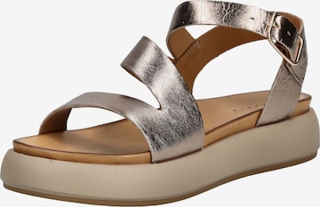 INUOVO Sandalen in Bronze: Vorderseite