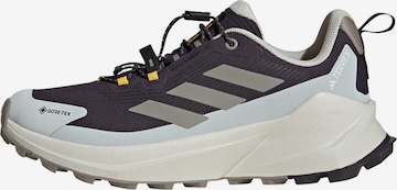 ADIDAS TERREX Low shoe 'National Geographic Trailmaker 2' in Purple: front
