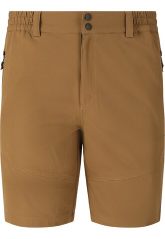 Whistler Regular Workout Pants 'AVIAN' in Brown: front
