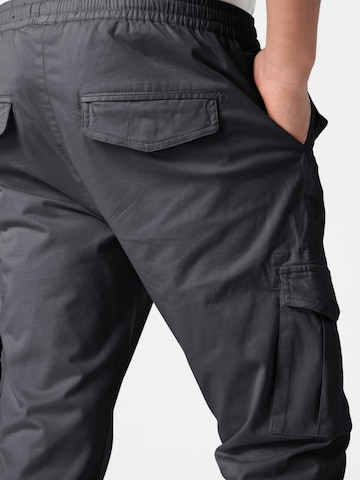Coupe slim Pantalon cargo M.O.D MIRACLE OF DENIM en gris