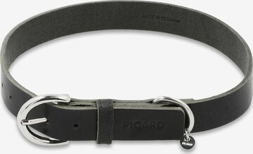 Picard Pet accessories 'Strolch' in Black: front