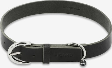 Picard Hundehalsband 'Strolch' in Schwarz: predná strana