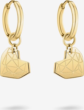 Liebeskind Berlin Ohrringe in Gold: Vorderseite