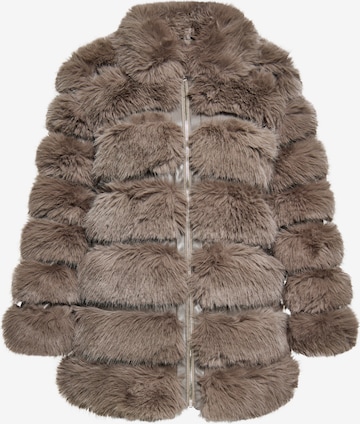 faina Winter jacket in Beige: front