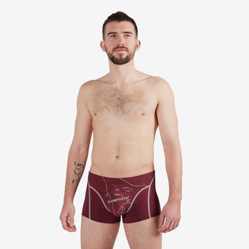 Ein schöner Fleck Erde Boxer shorts in Red: front