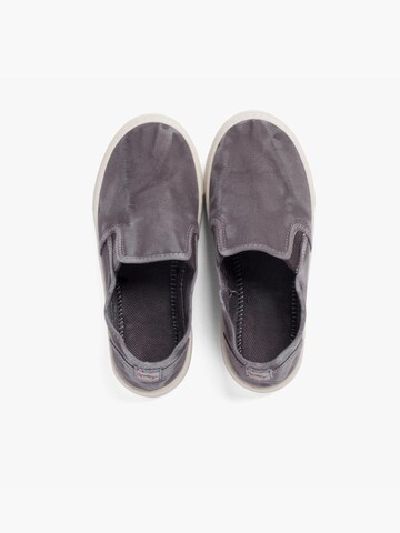 Pisamonas Sneaker‌‌ in Grau