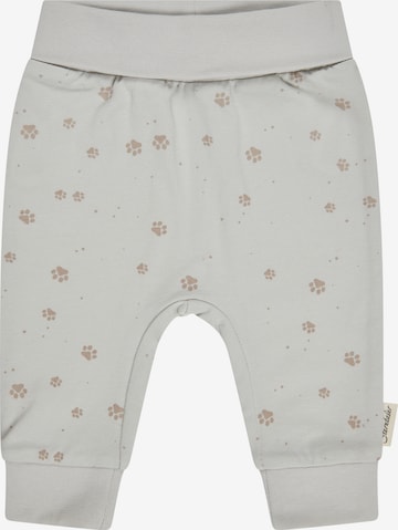 STERNTALER Regular Hose in Grau: Vorderseite