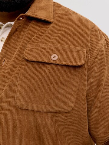 JACK & JONES Regular fit Business shirt in Brown