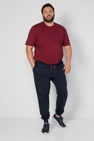 Boston Park Tapered Pants in Blue