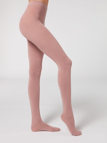 CALZEDONIA Strumpfhose 'thermo' in Pink: Vorderseite