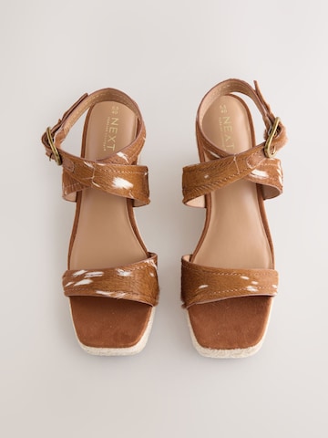 Next Sandali s paščki 'Forever Comfort' | rjava barva