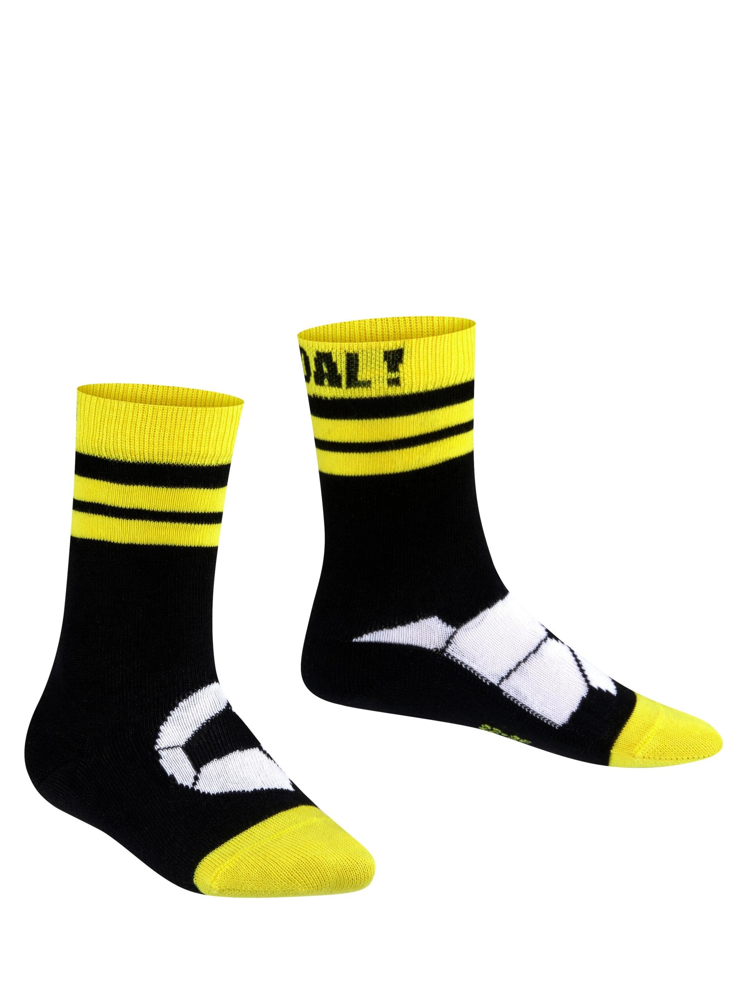 FALKE Socks 'Active Soccer' in Black