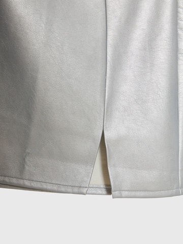 Funky Buddha Spódnica w kolorze srebrny