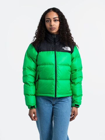 THE NORTH FACE Winter Jacket '1996 Retro Nuptse' in Green: front