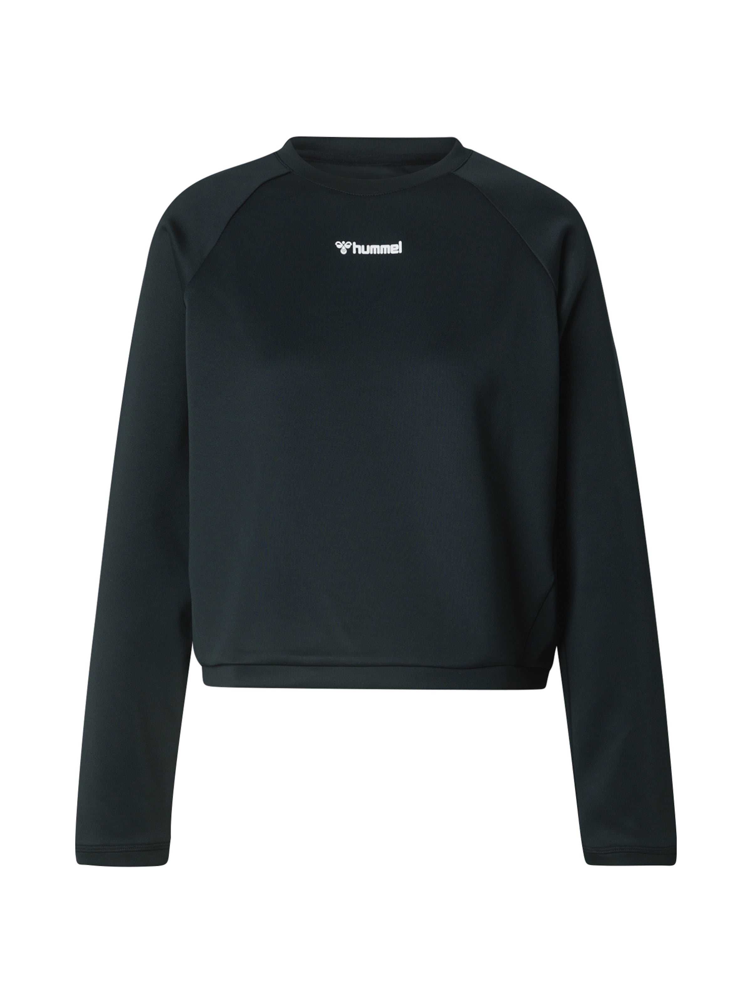 Hummel Sportsweatshirt 'Mt Kale' i sort: forside