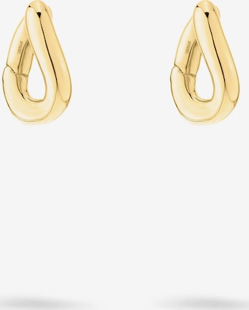 Liebeskind Berlin Ohrringe in Gold: Vorderseite