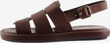 Mule 'TERI' Högl en marron : devant