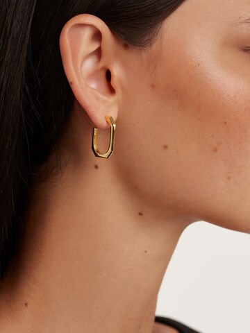 P D PAOLA Earrings in Gold: front