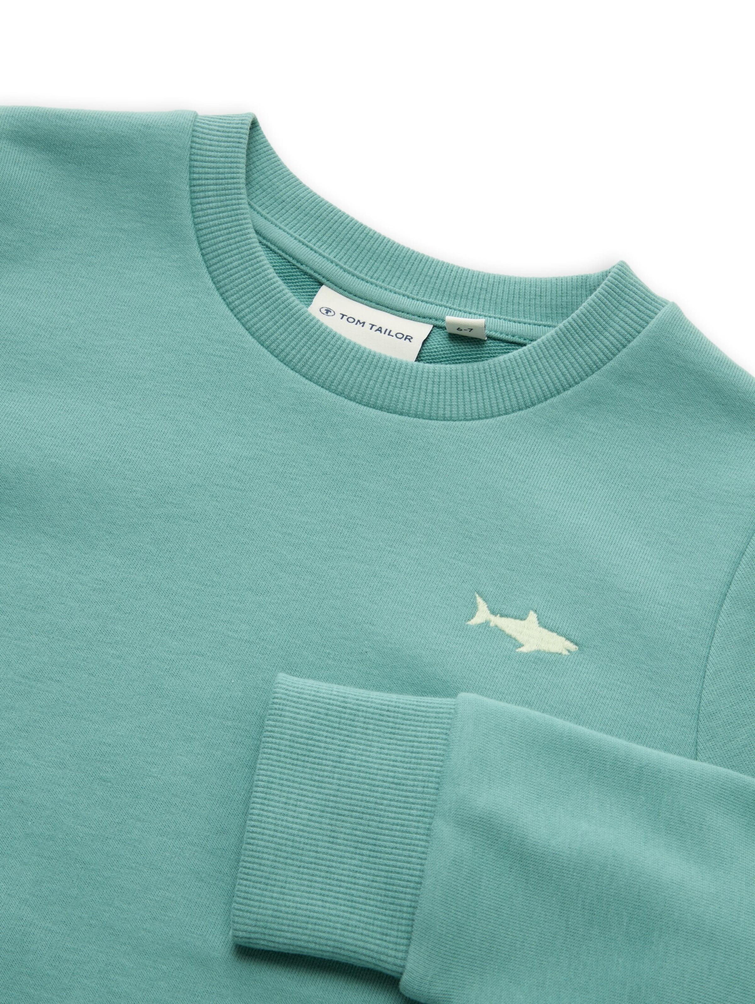 TOM TAILOR Sweatshirt in Groen