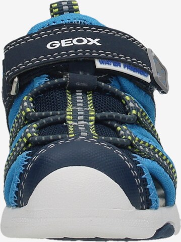 GEOX Sandale 'Multy' in Blau