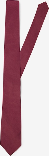 Andrew James Krawatte in One Size in aubergine, Produktansicht