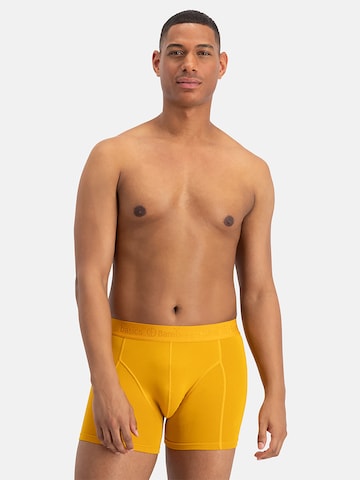 Bamboo basics Boxer shorts 'Rico' in Yellow