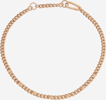 AllSaints Kette in Gold: predná strana