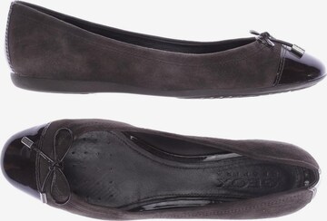 GEOX Flats & Loafers in 37,5 in Brown: front