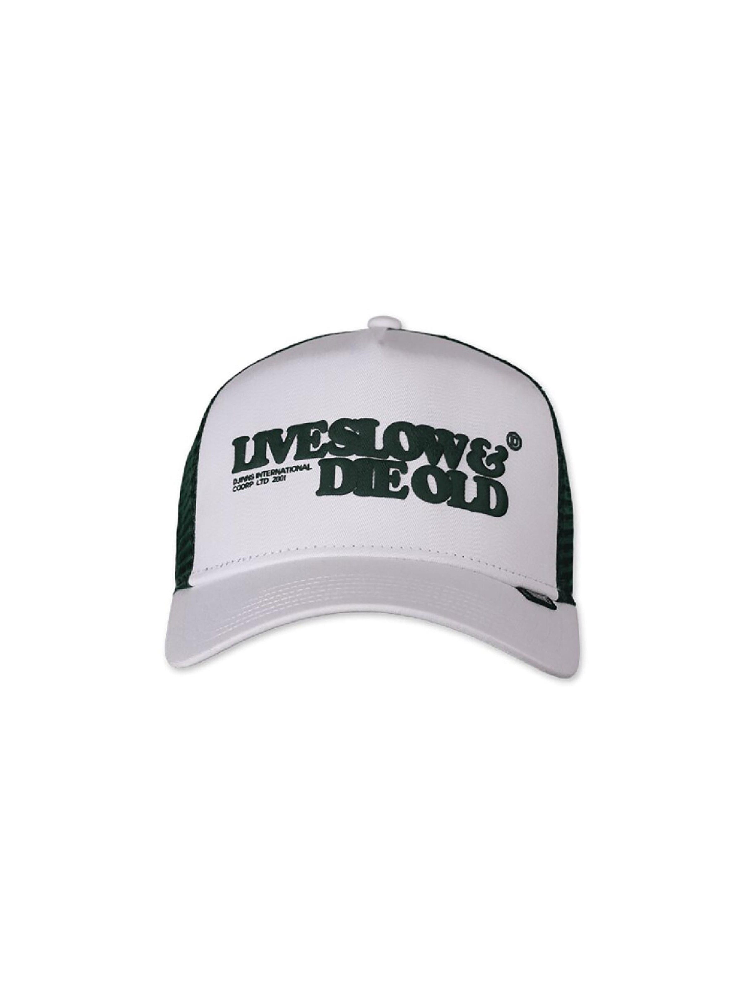 DJINNS Cap 'LSDO' in White: front