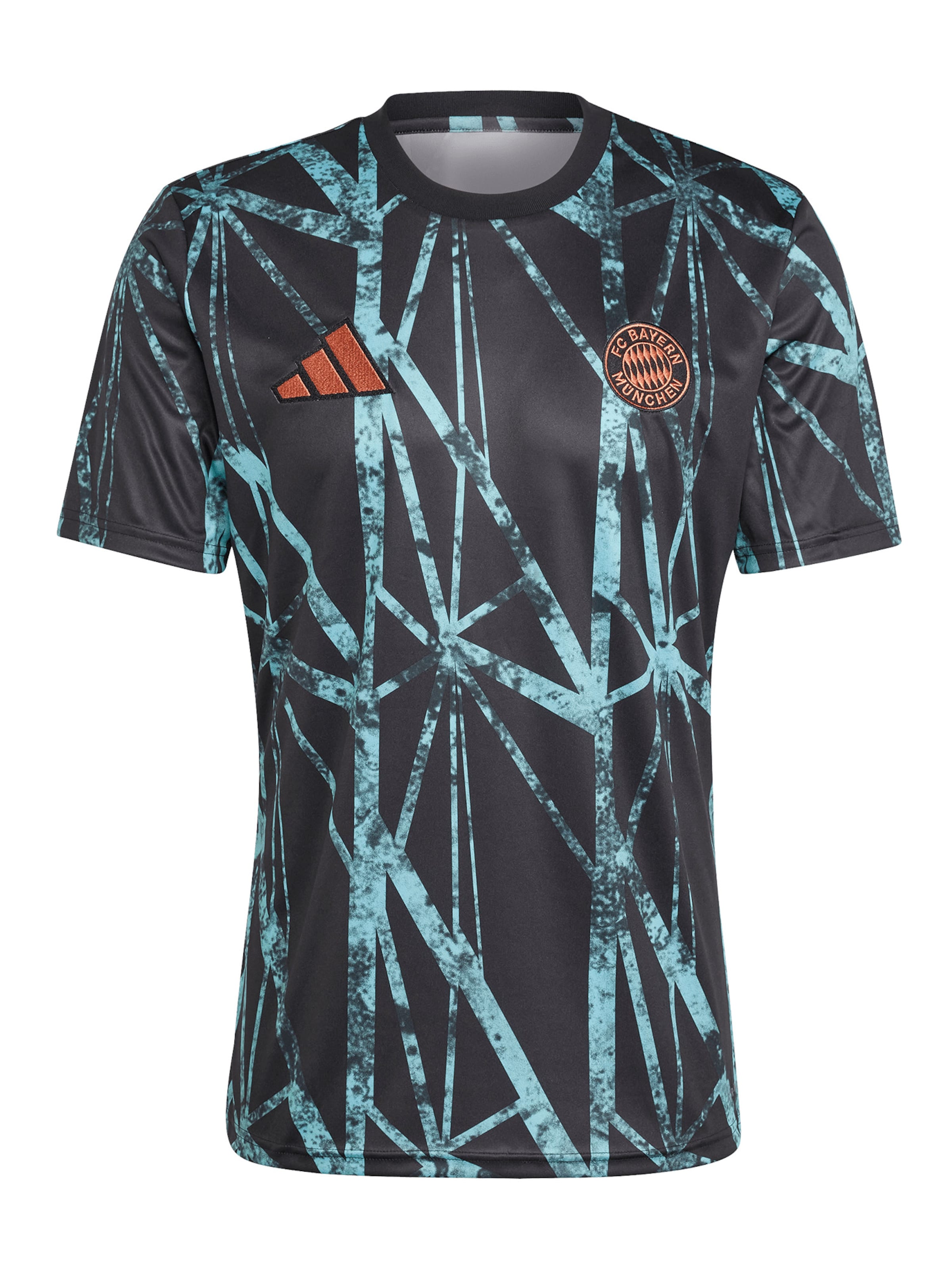 ADIDAS PERFORMANCE Trikot 'FC Bayern Pre-Match Home 24-25' in Schwarz: Vorderseite