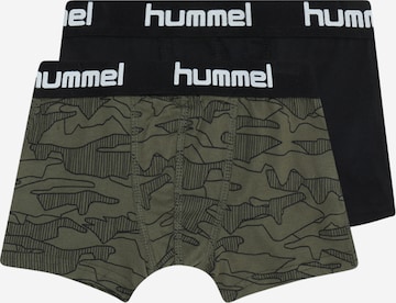 Hummel - Calzoncillo 'Nolan' en verde: frente