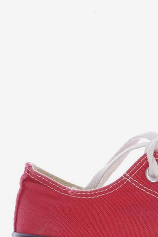 CONVERSE Sneakers & Trainers in 37,5 in Red