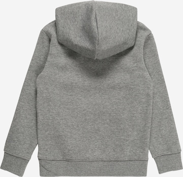 Jordan Sweatshirt in Grau