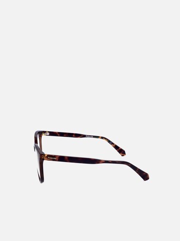 Polaroid Sunglasses in Brown