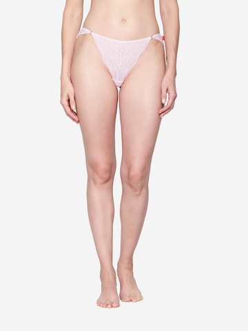 Slip ' Wave Lace ' JOOP! Jeans en rose : devant