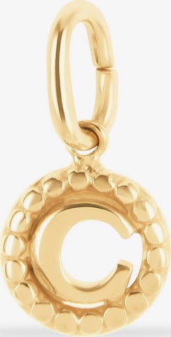 FAVS Anhänger in Gold: Vorderseite