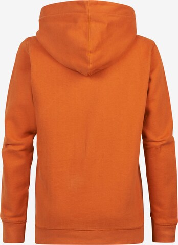 Petrol Industries Zip-Up Hoodie 'Tinley Park' in Orange