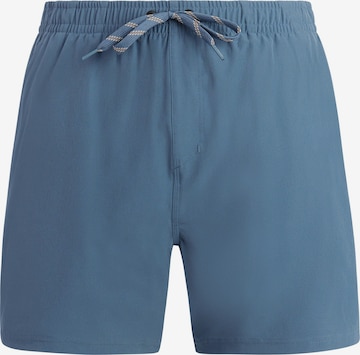 PROTEST Badeshorts 'PRTIgapo' in Blau: Vorderseite