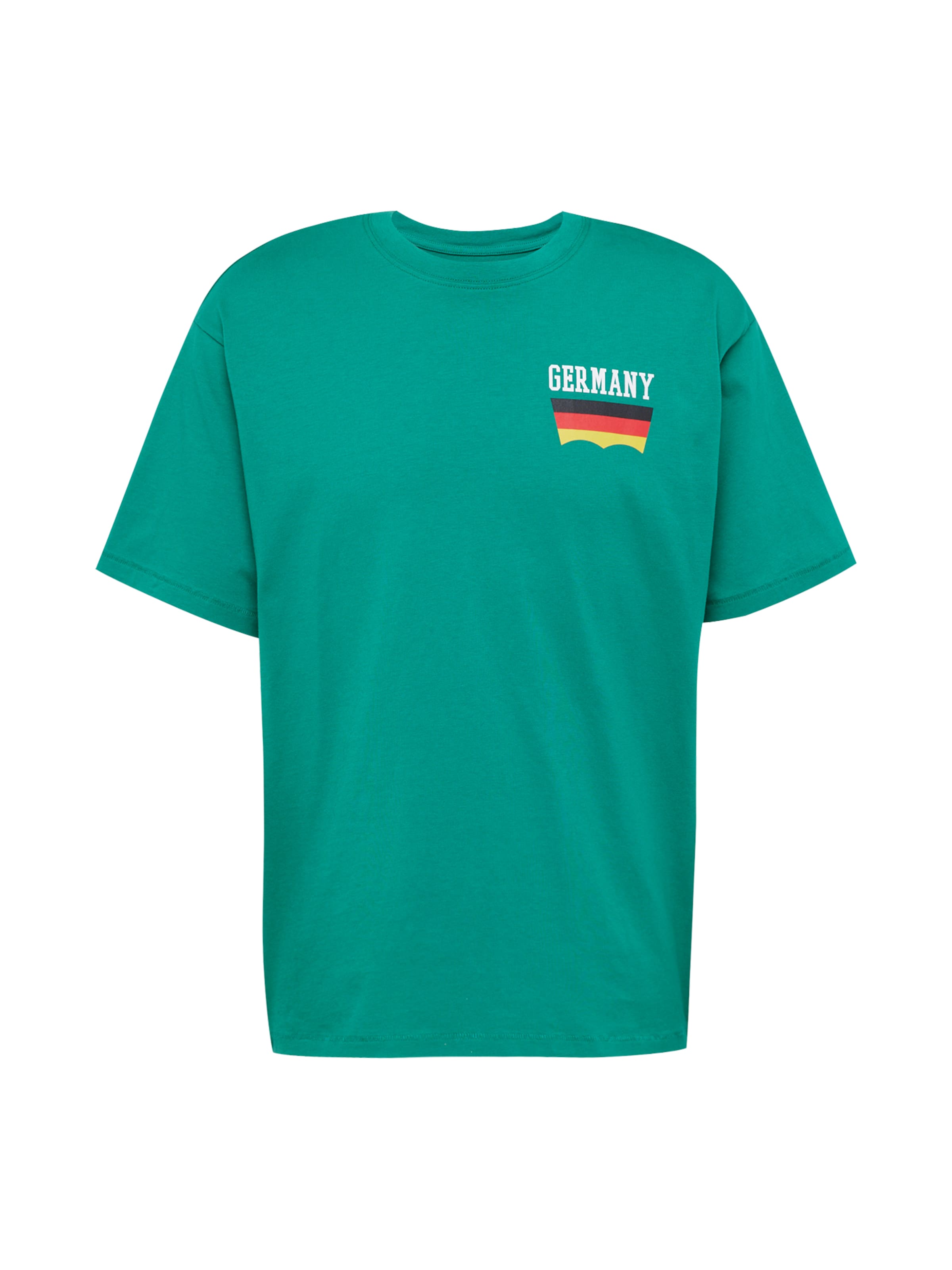 LEVI'S ® Tričko 'Levi's® Red Tab™ Vintage Tee' - Zelená: predná strana