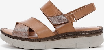Derimod Strap sandal in Brown: front